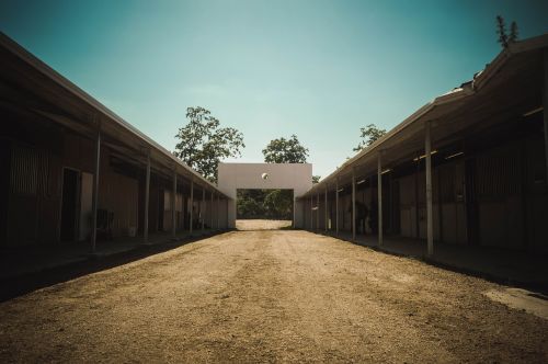 perspective stables building