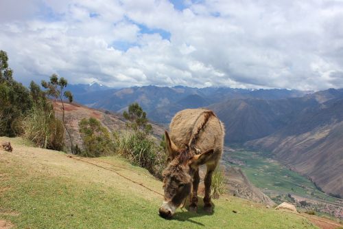 peru sacred valley urubamba