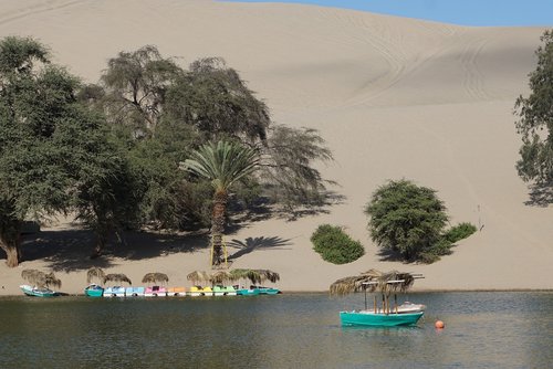 peru  desert  oasis