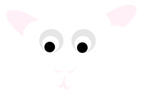 pet sheep animal