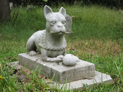 pet cemetery graveyard