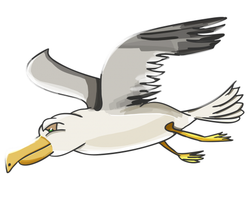 petrel outlander seagull