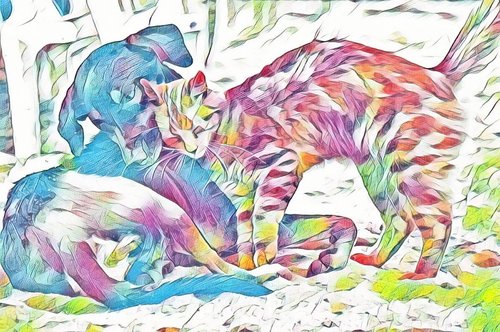 pets  drawing  art