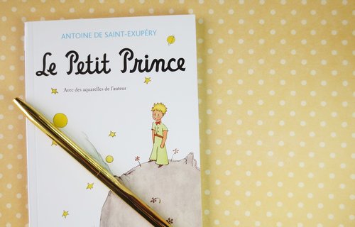 pettite prince  books  read