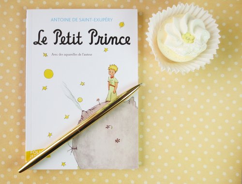 pettite prince  books  read