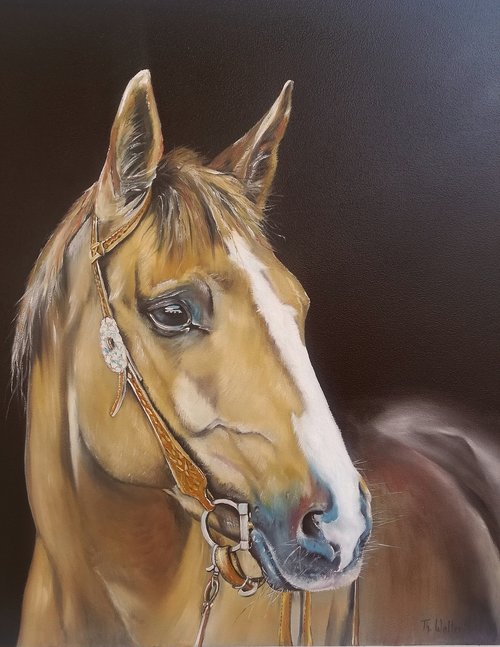 pferd  stute  gemalt