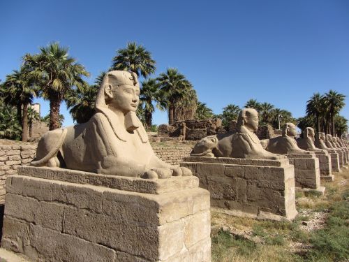 pharaoh sphinx egypt