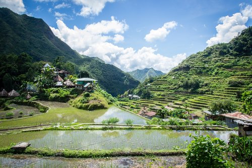 philippines  rice terraces  batad