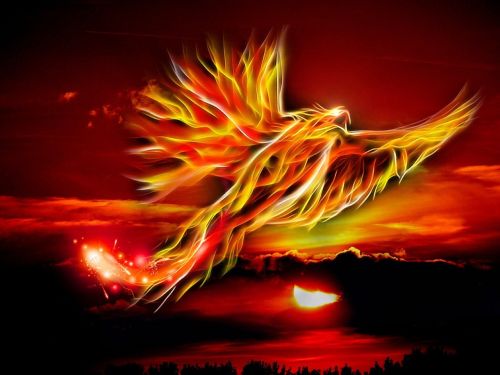 phoenix bird fire