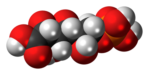 phosphogluconic acid organophosphate molecule