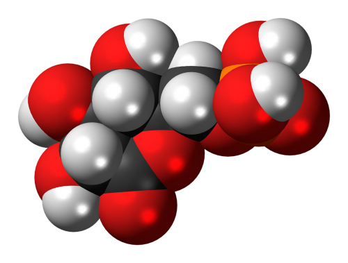 phosphogluconolactone molecule model
