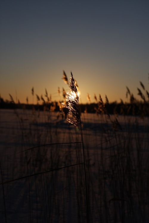 photo sunset snow