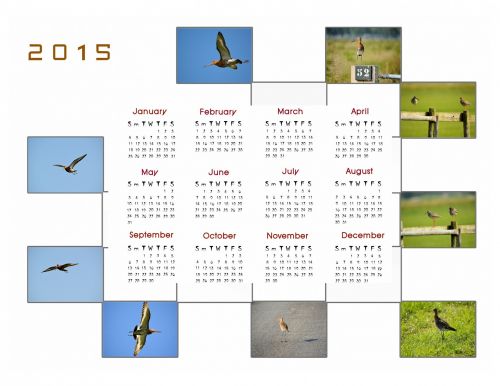 Photo Calendar 2015