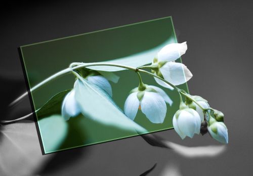 photo editing blossom bloom