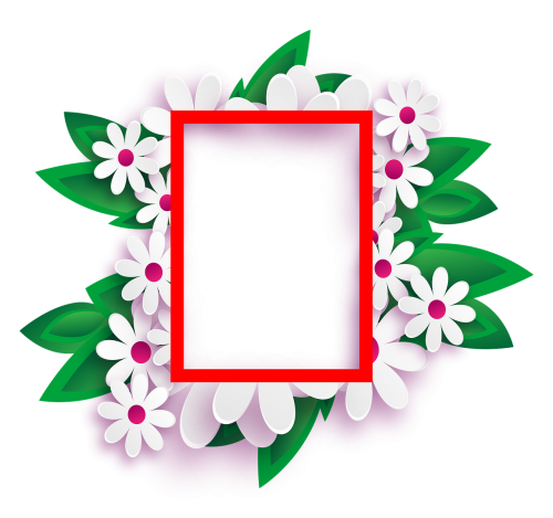 photo frame transparent background flowers