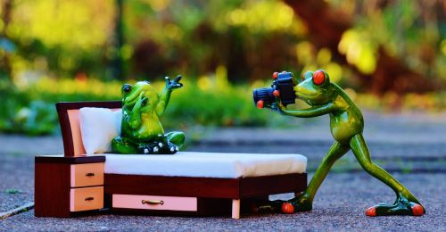 photographer frog photo shoot
