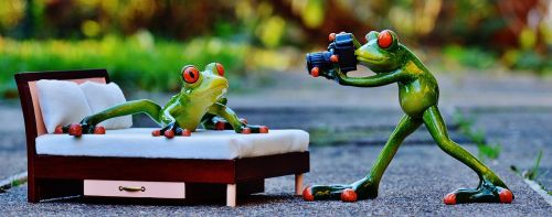 photographer frog photo shoot