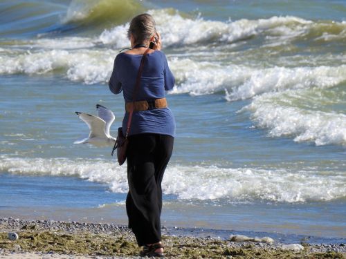 photographer waves seagull