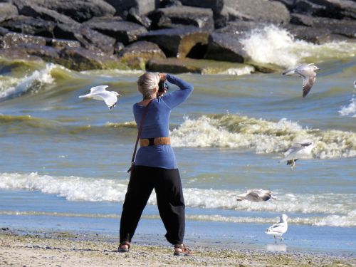 photographer waves seagulls