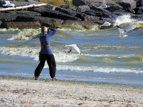 photographer waves seagull