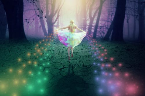 photomontage fairy forest