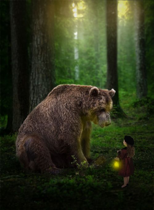 photoshop bear forrest