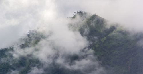 phu langka nature mountains