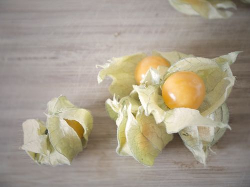 physalis healthy fruit