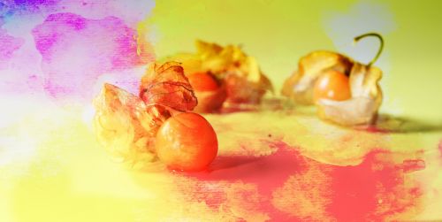 physalis food-photography gold berry