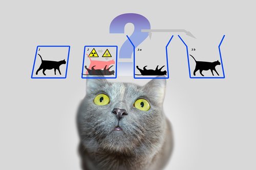 physics  schrödinger's cat  schrödinger