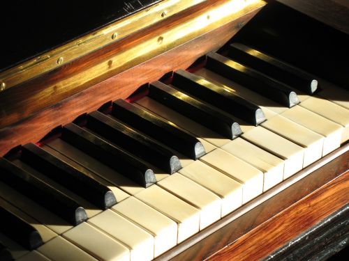 piano key ivory