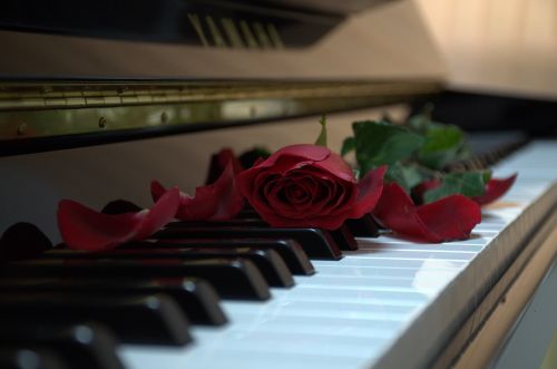 piano rose music