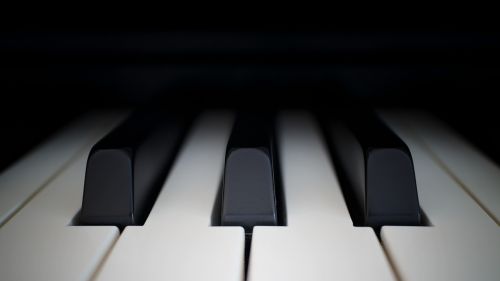 piano ivory ebony