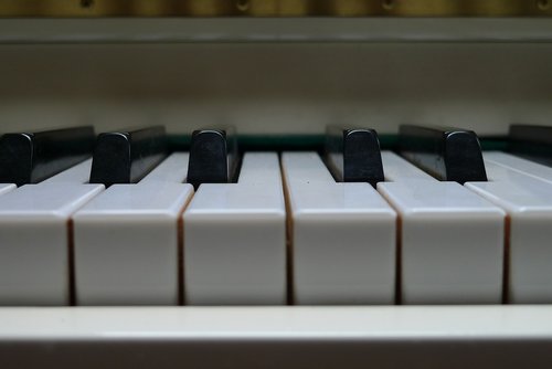 piano  music  key
