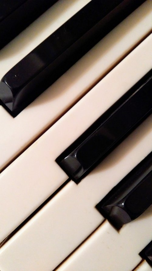 piano  music  key
