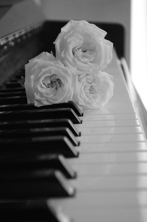 piano  music  compose