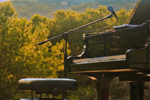 piano  open air  nature