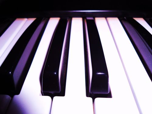 piano organ keyboard