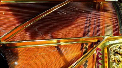 piano strings strings piano