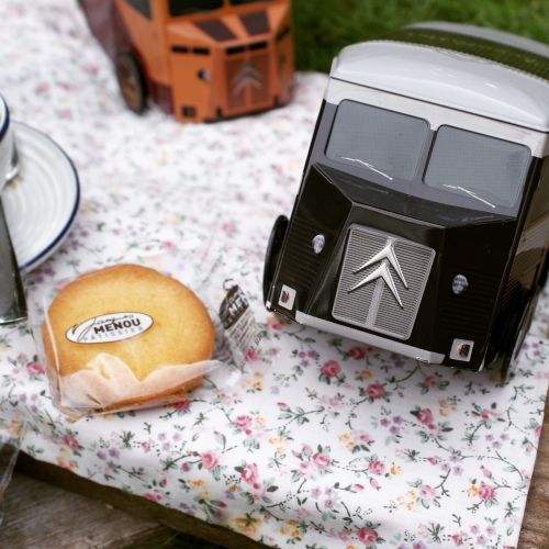 picnic tea lifestyle