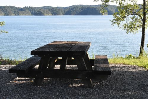 picnic picnic table outdoor lunch