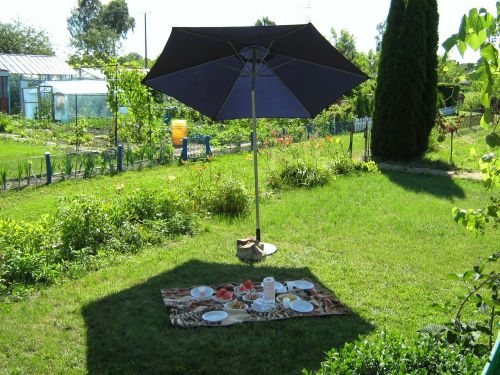 picnic fun eating