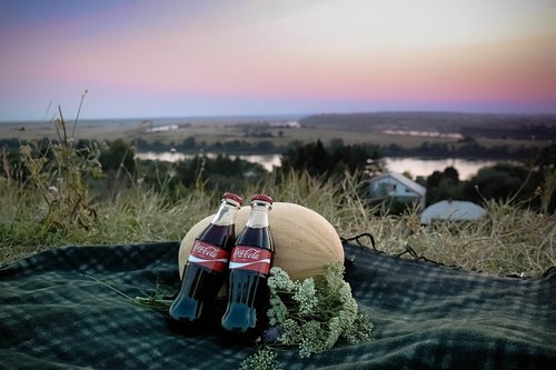 picnic  flowers  in the summer of