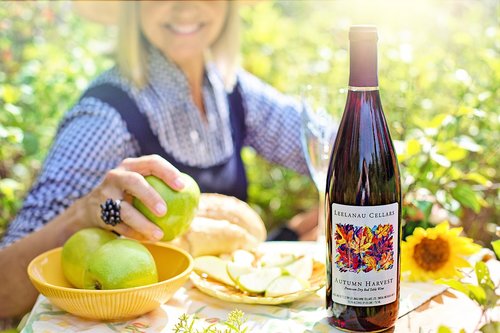 picnic  wine  apples