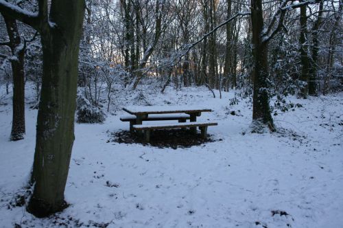 Picnic Bench In Snow 2
