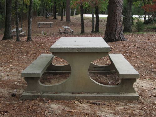 picnic table state park park