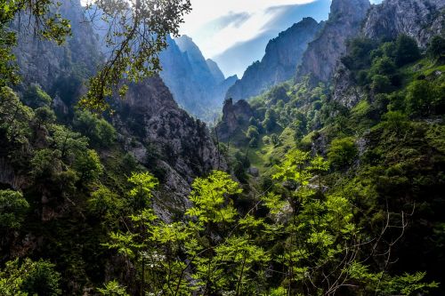 picos de europa asturias tourism