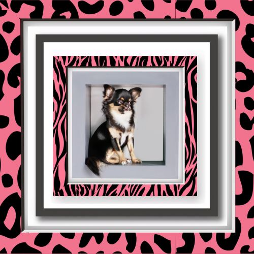 picture frame dog cute