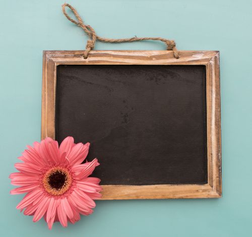 picture frame flowers background