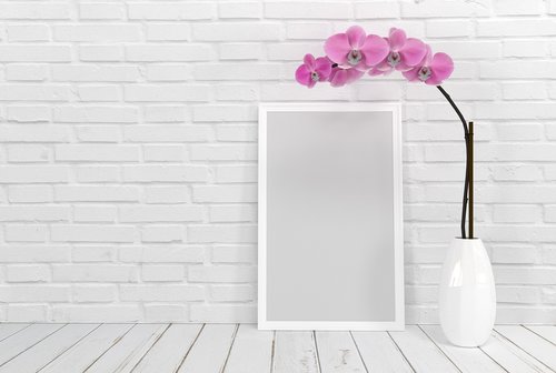 picture frame  flower  orchid